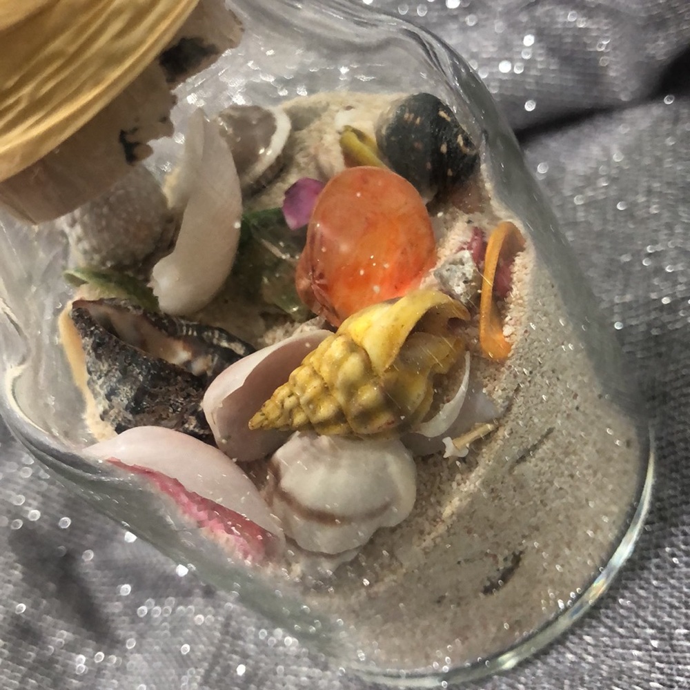 Handmade Decorative seashell jar - Picture 3 of 4